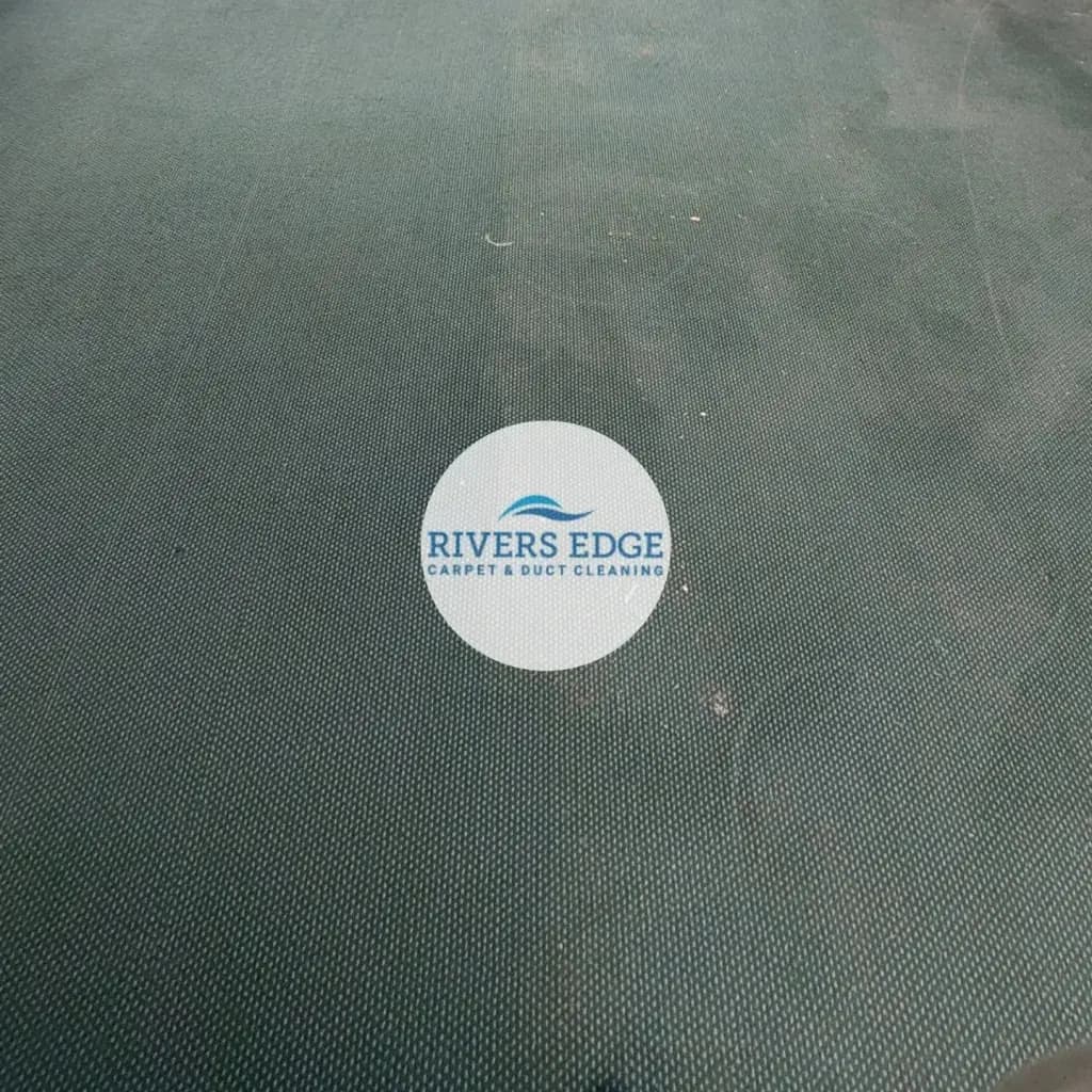 Professional carpet cleaning in Windsor
